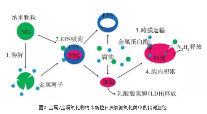 污水处理设备__全康环保QKEP