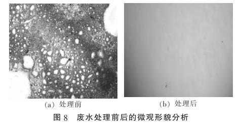 污水处理设备__全康环保QKEP