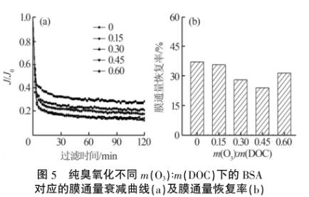 污水处理设备__全康环保QKEP