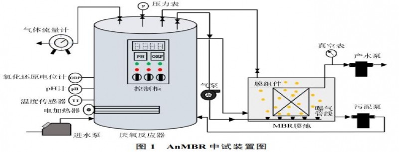 养猪废水处理中试厌氧膜生物反应器